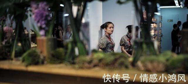 富豪|又一千亿富豪快“倒了”?1000多家菜店倒闭,9000万利息都没钱还