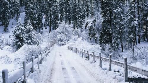  诗词|云集！诗书画印诵 ?▏大雪夜深归晚客 ?▏最美廿四节气大雪诗词