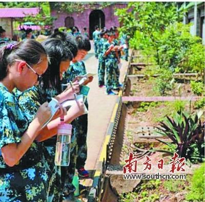 引导学生主动学习中医药文化