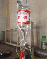 |搞笑GIF段子:妹子,你这下楼方式,很新颖呀,屁股不疼么