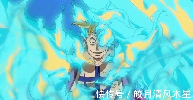 金狮子|《海贼王》尾田所说的五种飞行恶魔果实是不是都出现了