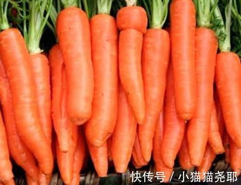 佛手瓜|秋季对身体超级好的3种食物,美容养颜,滋润肌肤