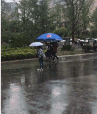 |搞笑GIF:单身狗和单身汪之舞!