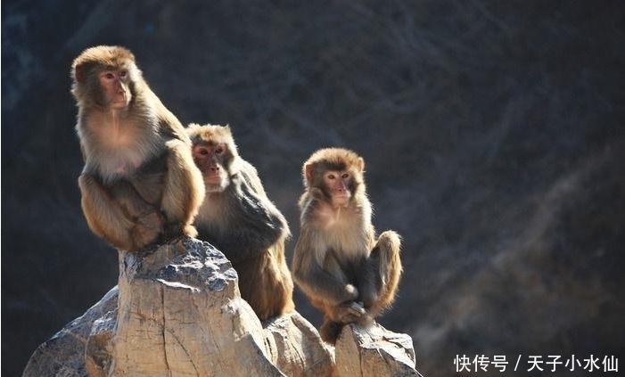 天后|16天后，三大属相天降大财，一生富足，时来运转，生活幸福无比