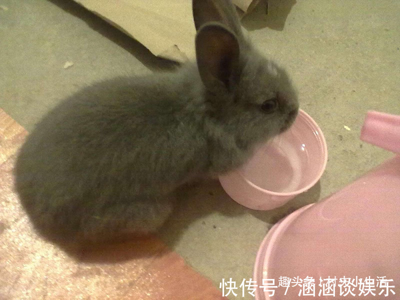 食用油桶不要扔,清洗干净改造一个神器,家家户户都用得上