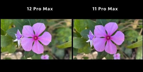 拍摄|12Pro Max和11Pro Max拍照真实对比，劝你还是别升级了！