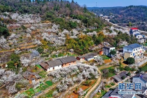 春暖峡江 山花烂漫