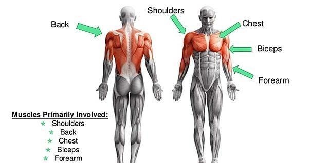 诀窍|想要腹肌做引体向上就对了！教你7招，掌握引体向上训练诀窍