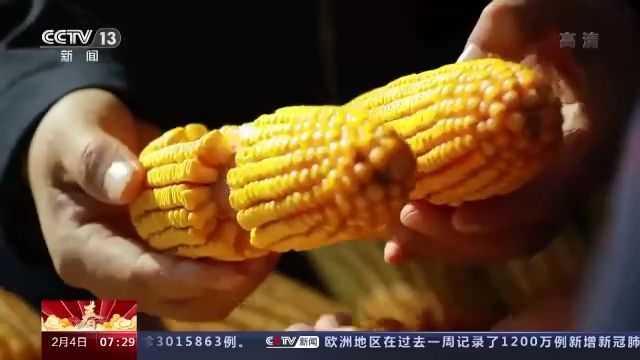 农业农村部#一年之计在于春！农业农村部多措并举夯实粮食丰收基础