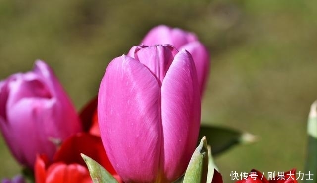 4 30什么星座