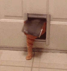 |搞笑GIF:买个儿童玩具用不着这么激动吧