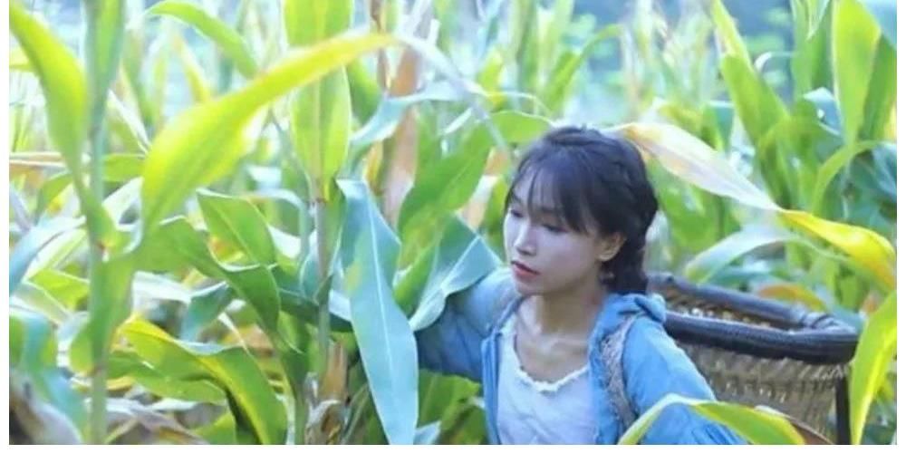 李子柒終于被點醒，欲翻身當主人，卻遭字節(jié)跳動退出