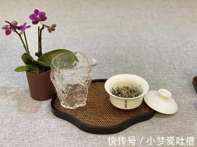 春白茶|冬天煮老白茶暖身，夏天喝新茶解暑，那秋天该如何喝白茶润燥