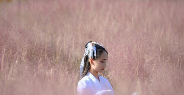 黄崇嘏|中华第一女状元——黄崇嘏的传奇故事(八)