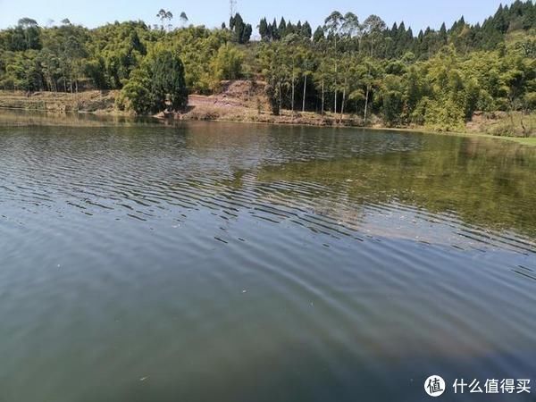 吞食|水库钓鱼被小鱼闹窝,钓友一怒之下用麦穗鱼钓鲫鱼,谁知竟连杆了