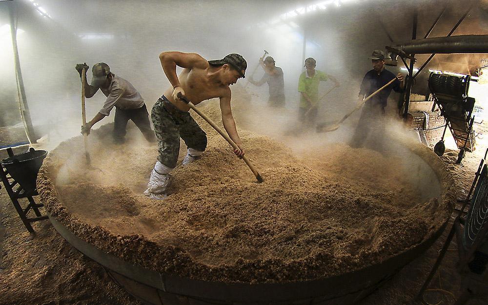 酿出|想用酿酒设备酿出高品质固态酒,要注意的3个要点