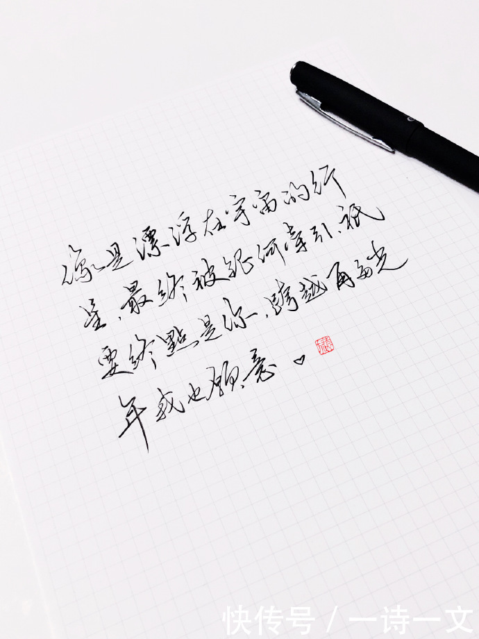 羊群|既然人类微渺得如同一只蜉蝣,那么人生须臾,不如绽放