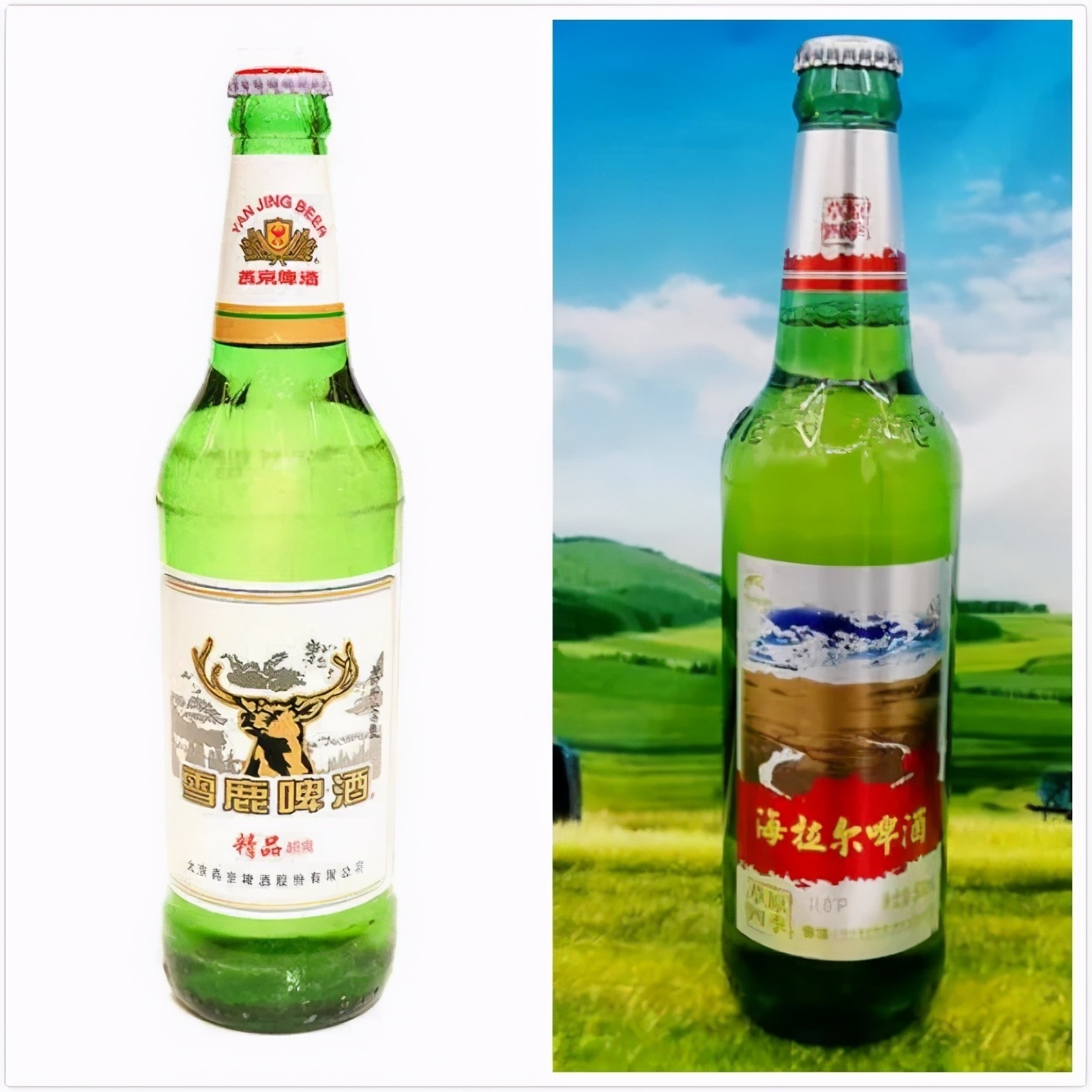 全国33个地方的啤酒,第一种被公认最好喝