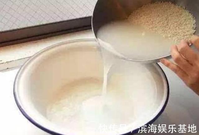 养花|7种“垃圾”不是废物,泡一下水,肥的流油,养花一级棒