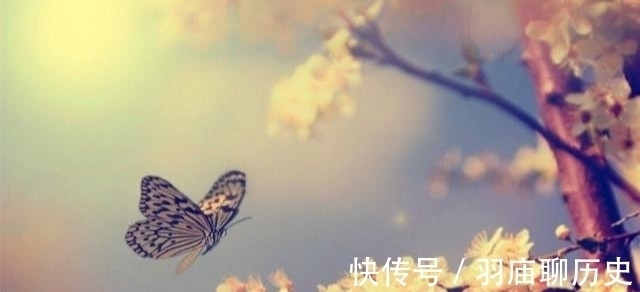 崔郊#纳兰性德经典绝美之作,仅开头7个字就够惊艳,最后一句令人断肠