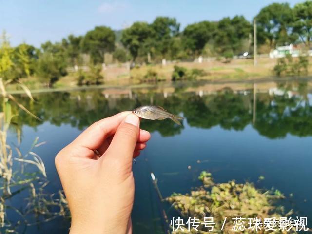 钓友|钓鱼中“七大未解之谜”,钓鱼人经常遇到但又没法解释