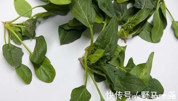 食物|肝也有“喜欢”的食物,便宜又营养,经常吃,肝脏也许会夸你聪明