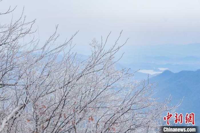 刘玲莉|雪后初霁的湖北红安老君山