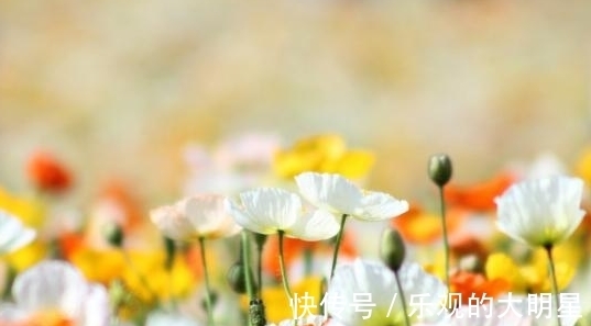 终生|7月下旬，辗转反侧，刻骨铭心，深爱无悔，非你莫属，幸福终生