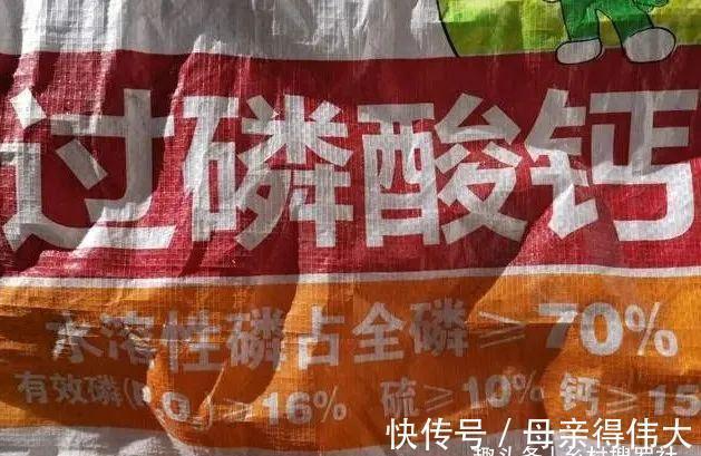 用它养兰花,一肥三效:促根、延长花期、改善水质,好多人不知道