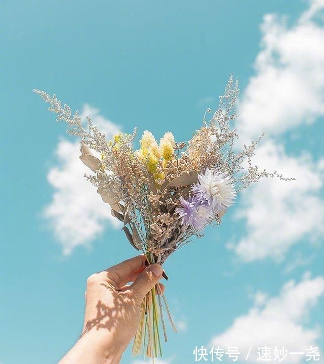 这就是爱|高级小众低情绪文案,与众不同,值得一看