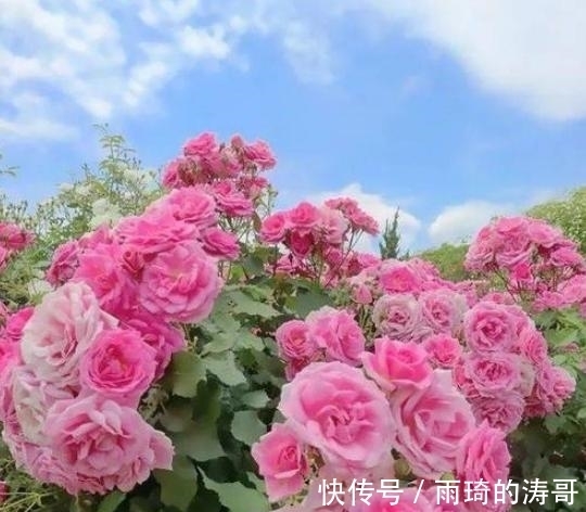 在你身边|7月份，鸿运当头，正财横财齐发的3个属相，福禄双收