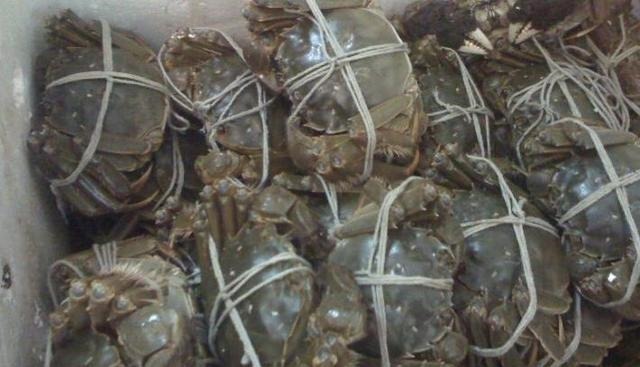 海鲜市场套路多, 这些隐藏的“猫腻”你知道吗