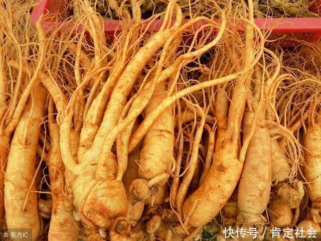 大黄|中药荟萃,养生长寿的几味中药,少生病更健康