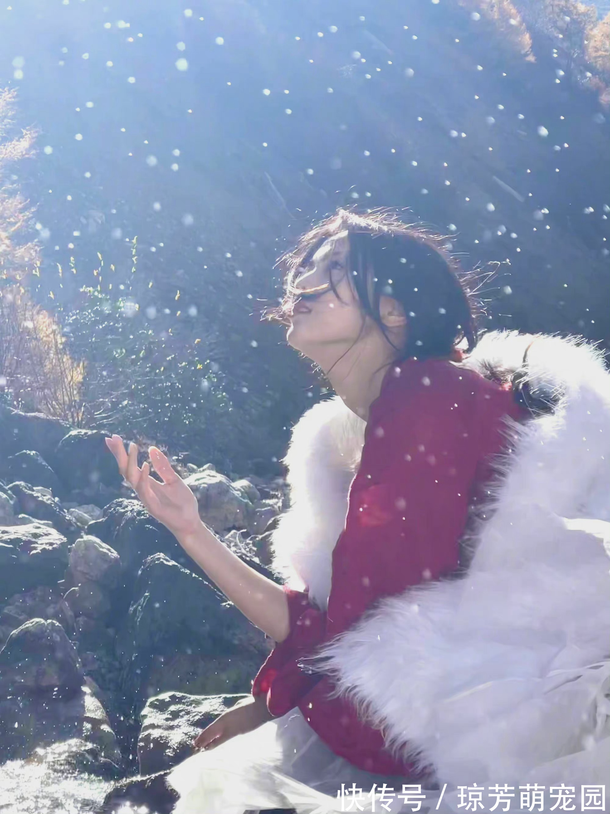 杨幂|杨超越是不输杨幂的“腿精”?每天4个动作,就能养成同款漫画腿