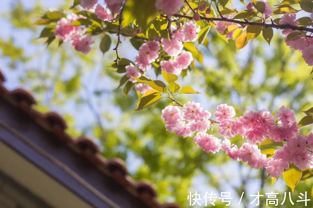 李商隐!15首最美七绝情诗,首首深情,爱你千千万万遍!