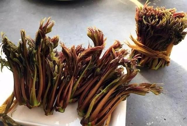 吃这7类食物必须先焯水,很多人一直吃错了,别等生病了再改正