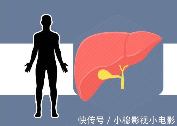 低蛋白血症|肝脏没有“痛感”，若身体常伴4种表现，说明肝脏在求救，别大意