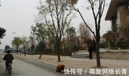 释正弘#他是中国真正的苦行僧,三步一拜走完四大名山,脚上茧比鞋底还硬