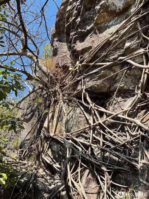 浪无止境 篇七：就地过春节，也要动起来，打卡深圳十峰之大鹏七娘山