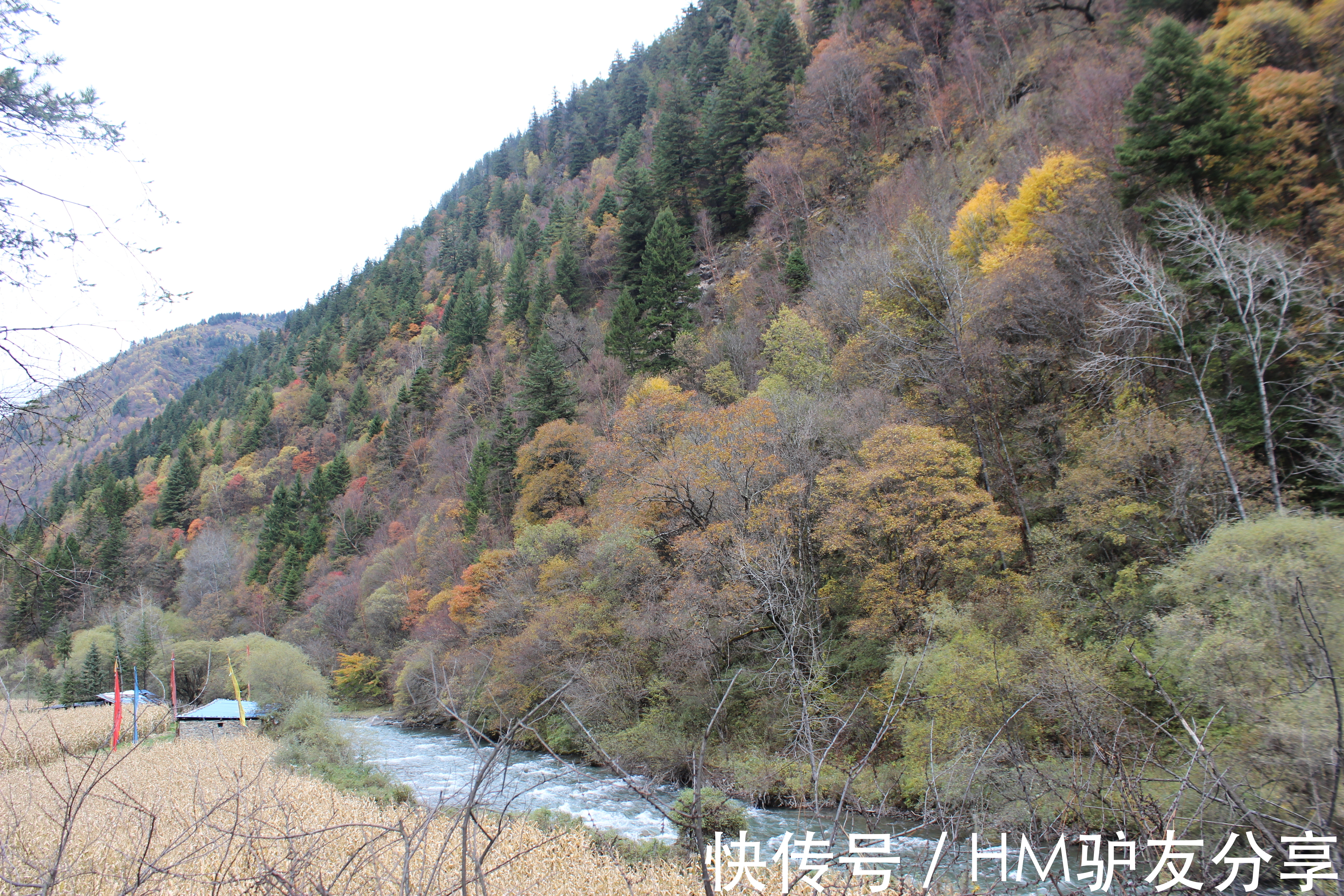 古尔沟|看川西彩林 这一条环线就够了 毕棚沟-米亚罗-奶子沟-卡龙沟-牟尼沟