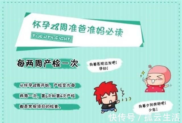 地方|育儿说:怀孕7个月宝宝是在什么位置的?从这些地方能够看出来