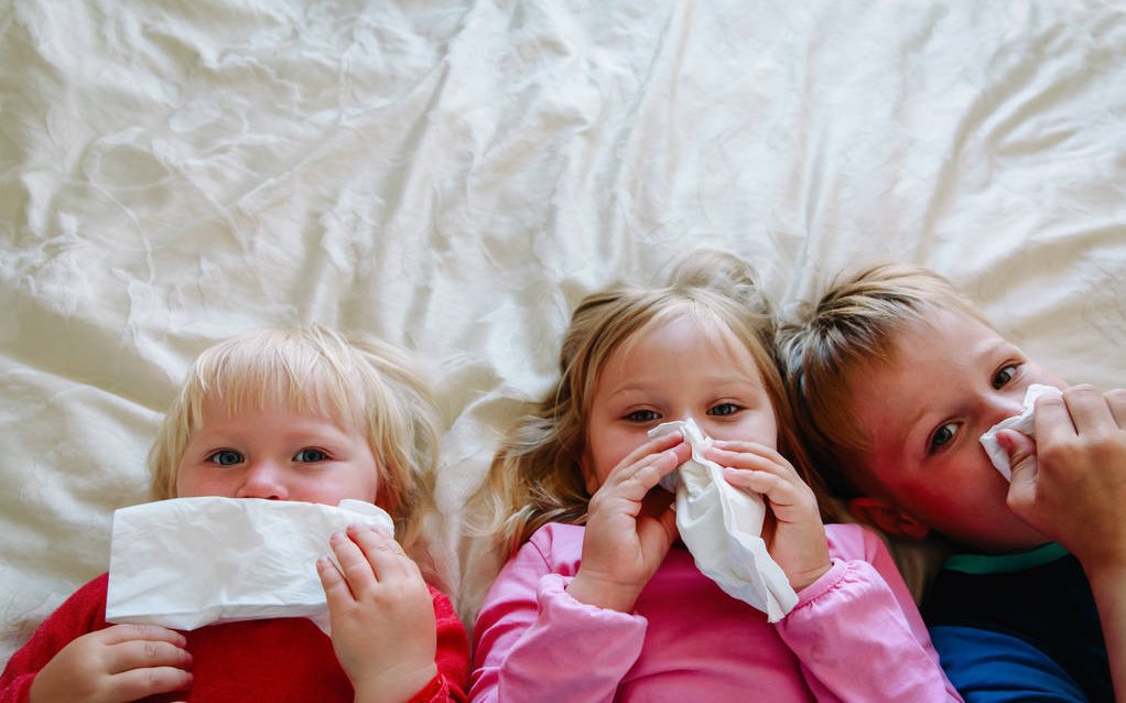 苹果|夏末秋初，宝宝养护需注意什么？吃对水果能让他们更健康