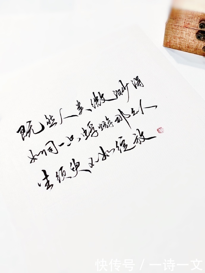 羊群|既然人类微渺得如同一只蜉蝣,那么人生须臾,不如绽放