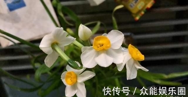 神宗实录!黄庭坚看不惯邻家美女下嫁贫民,写下两首酸溜溜的诗,却成为经典