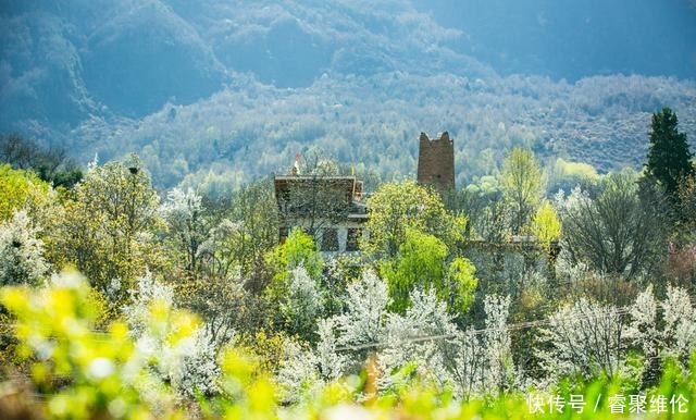 这里比甲居藏寨隐蔽，百年梨花开满山，仿若世外桃源