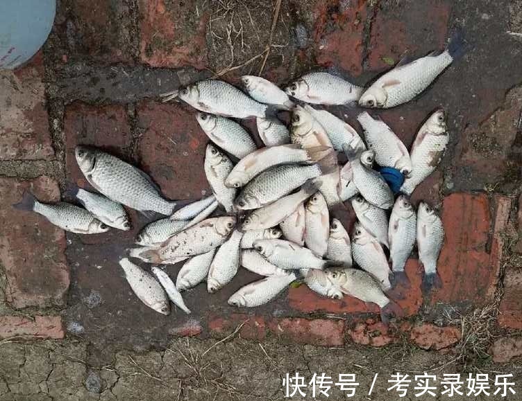 水体|测试水里有没有鱼,这3招就够了,钓鱼前试试看