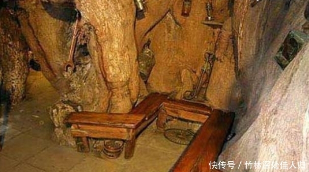 非洲的万能树,不仅能当水缸用,还能够当房子住!