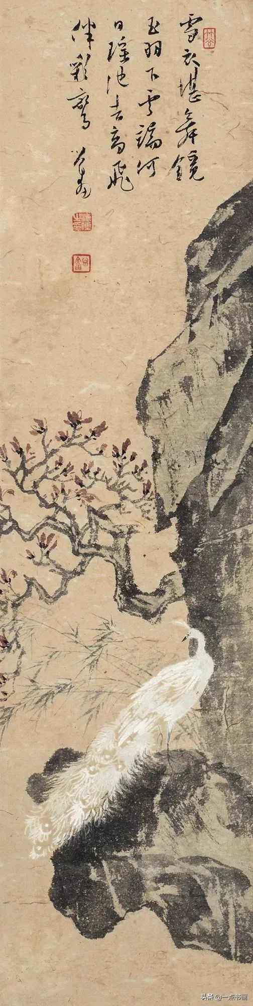 花头！写意孔雀画法讲解