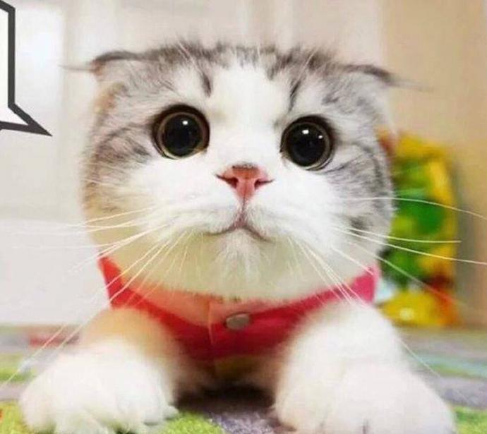 |8个让你笑到肚子疼的段子奉上!