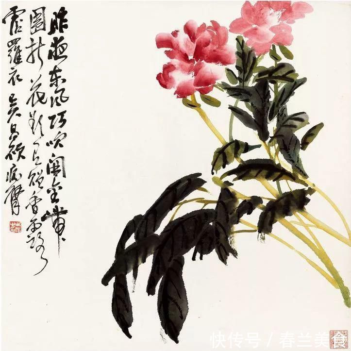 任伯年#吴昌硕十二开花卉清供册，简约清雅，悦目赏心！